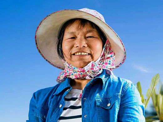 枇杷节海报拍摄设计