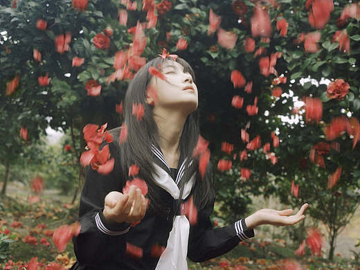 花落，是一场无声的告白