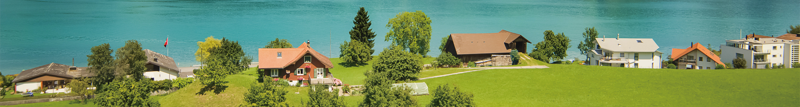 楚改改的個人主頁（封面預覽） - 主頁封面設置 - 站酷設計師楚改改原創(chuàng)素材 - 站酷ZCOOL