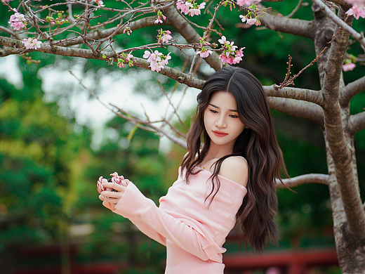 櫻花樹下（個人主頁-ZNzMzMTg5Mjg=） - 時尚/藝術攝影 - 站酷設計師攝影師森明原創(chuàng)素材 - 站酷ZCOOL