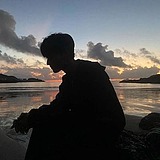 野生理想设计师的头像