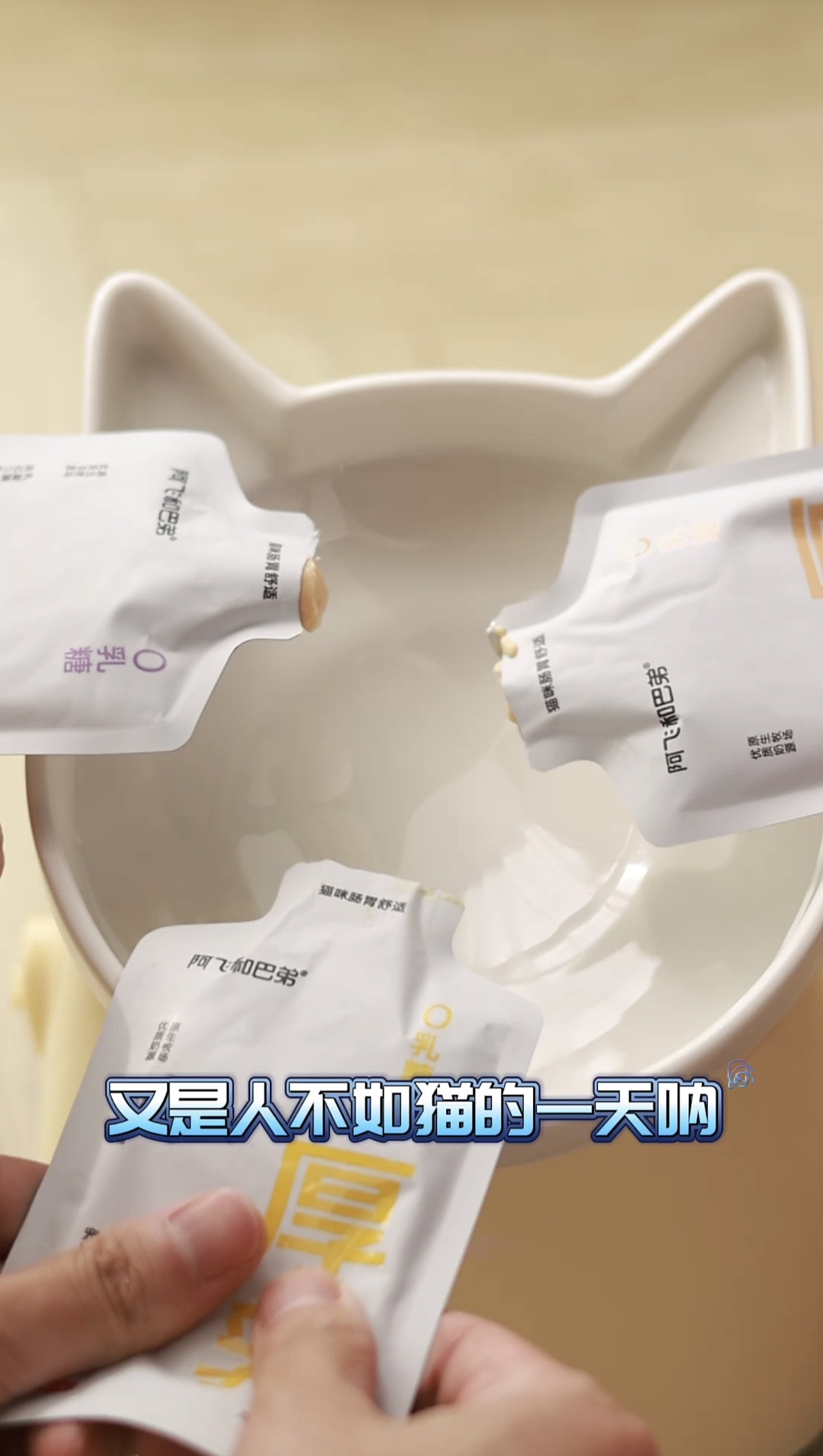 宠物带货好物种草（图ZNDA0MjEwNjQw） - 宠物摄影 - 站酷设计师行走的星星丶原创素材 - 站酷ZCOOL