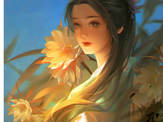 昙花，可望不可即的梦