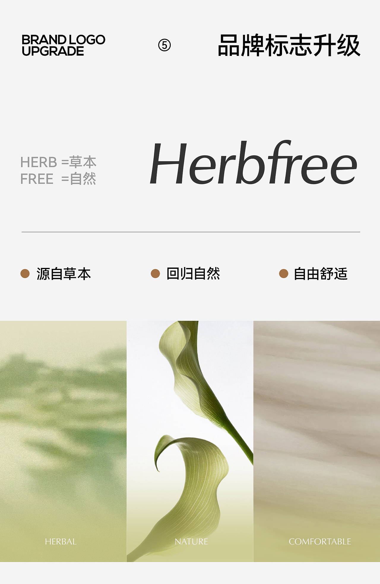 汤臣杰逊 X 草本初色-蚕丝内衣（图ZNDA0MjQ0ODE2） - 电商 - 站酷设计师汤臣杰逊原创素材 - 站酷ZCOOL