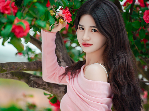 山茶花少女写真