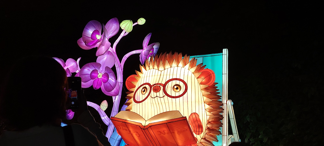 元宵节 手机摄影系列（图ZNDA0MjU3MTgw） - 风光摄影 - 站酷设计师会修图的猪猫原创素材 - 站酷ZCOOL