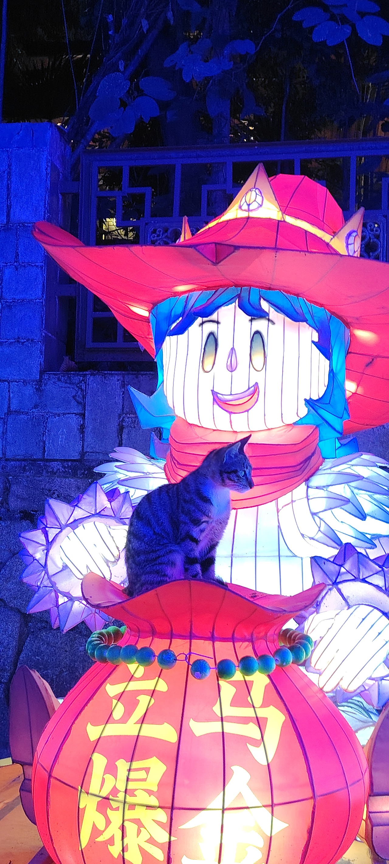 元宵节 手机摄影系列（图ZNDA0MjU3MTY4） - 风光摄影 - 站酷设计师会修图的猪猫原创素材 - 站酷ZCOOL