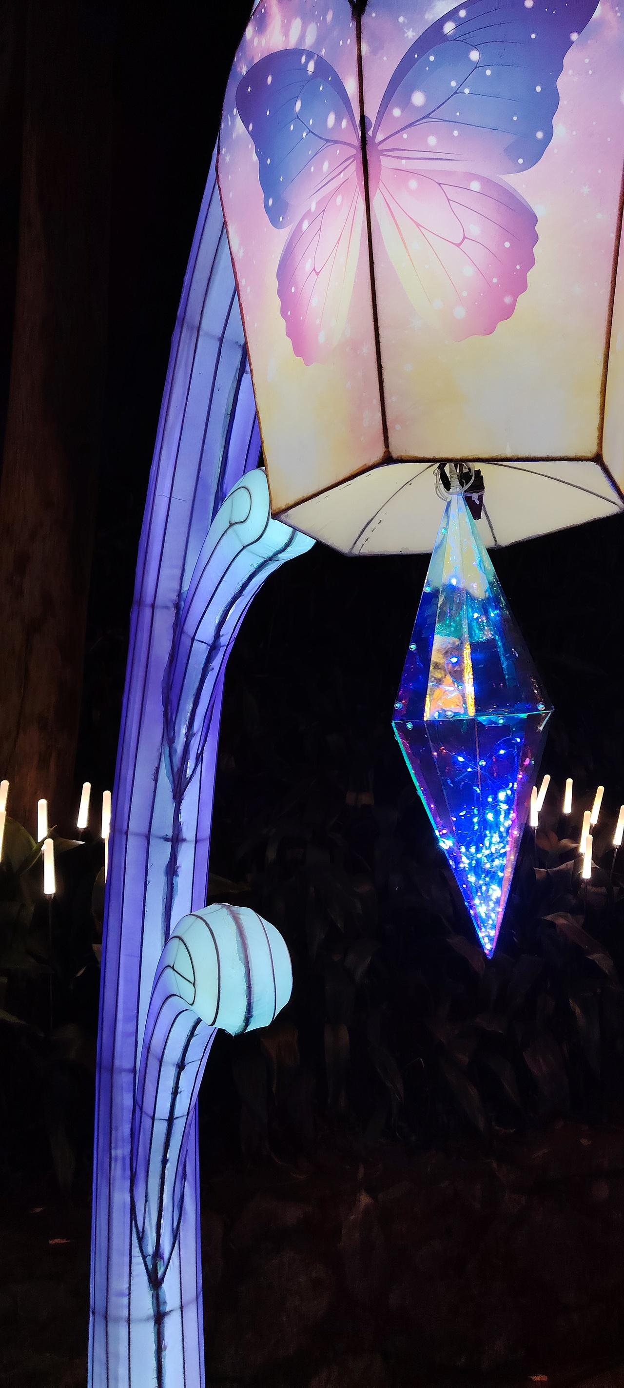 元宵节 手机摄影系列（图ZNDA0MjU3MjI0） - 风光摄影 - 站酷设计师会修图的猪猫原创素材 - 站酷ZCOOL