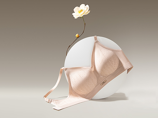 女士内衣创意主图拍摄丨简木视觉 文胸电商静物摄影