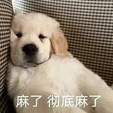 陈住了气的头像