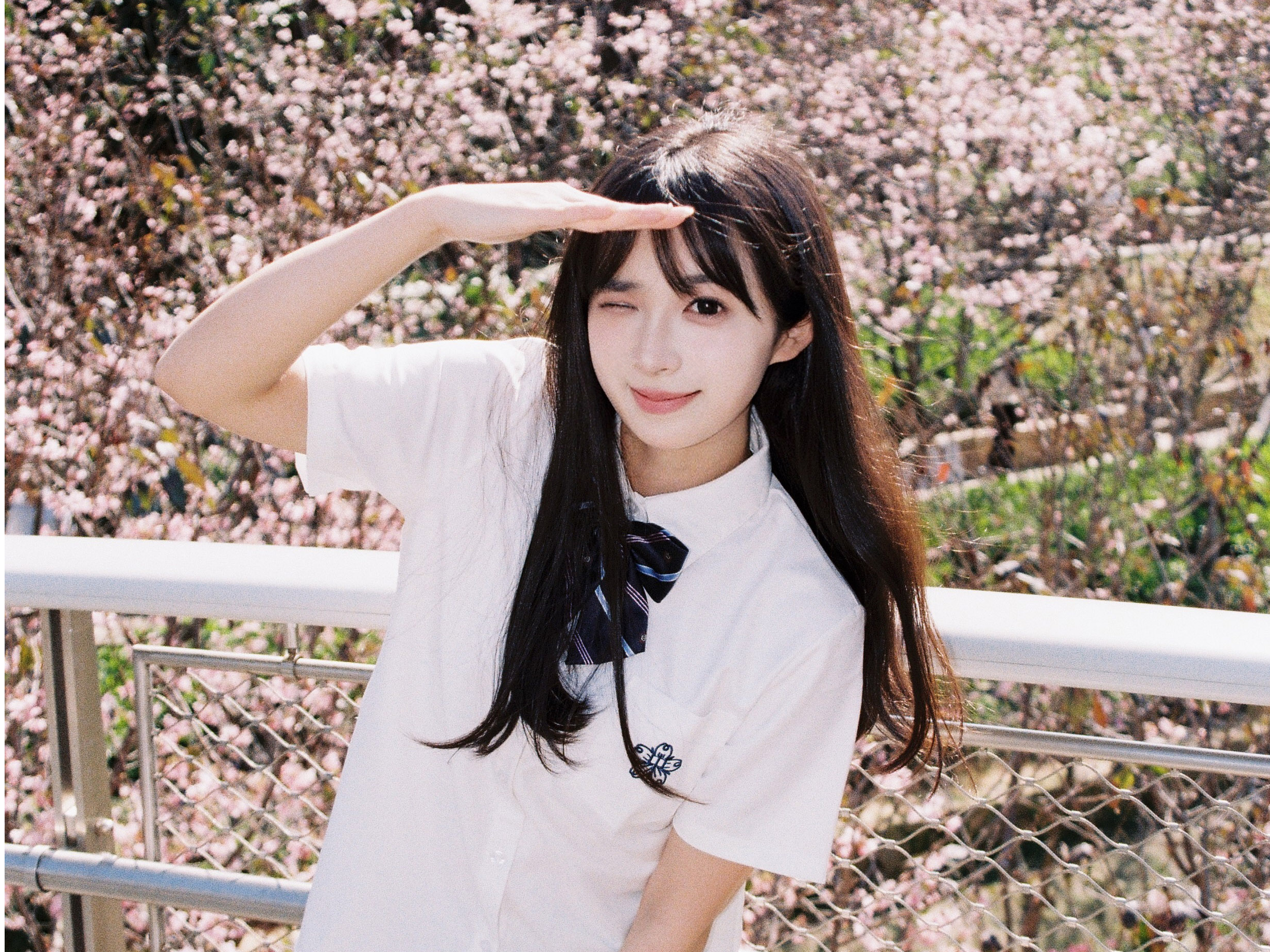 被时间带走的片段