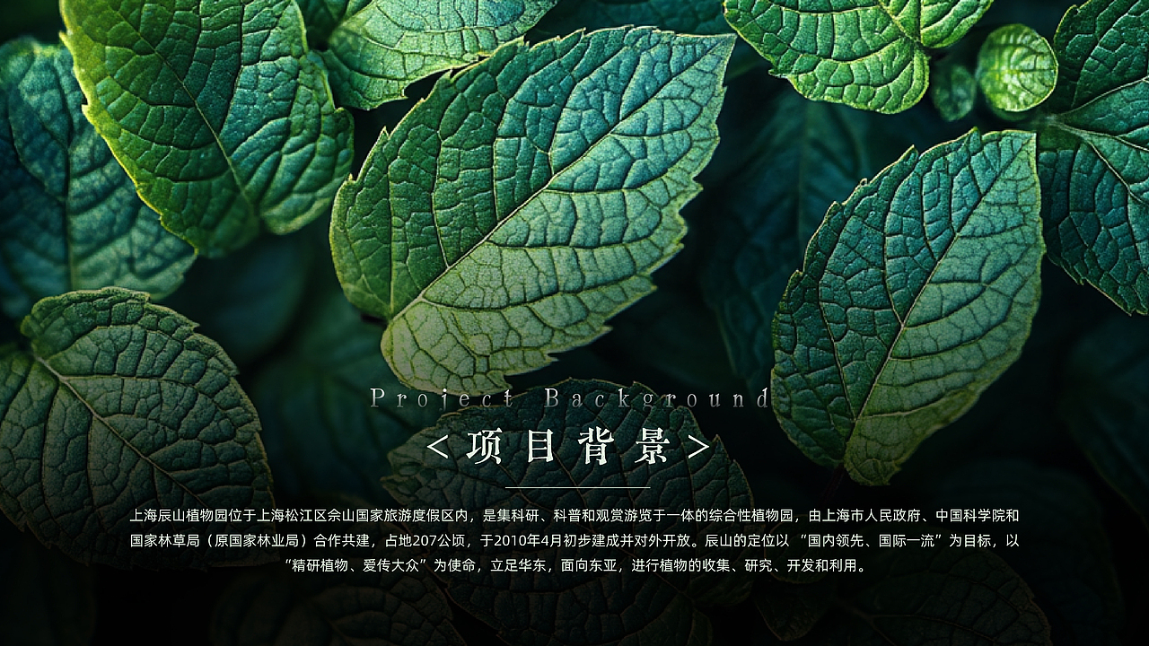 辰山植物园logo VI设计与应用提案（图ZNDA0MzA5OTg0） - 品牌 - 站酷设计师NPC有块小鱼干原创素材 - 站酷ZCOOL
