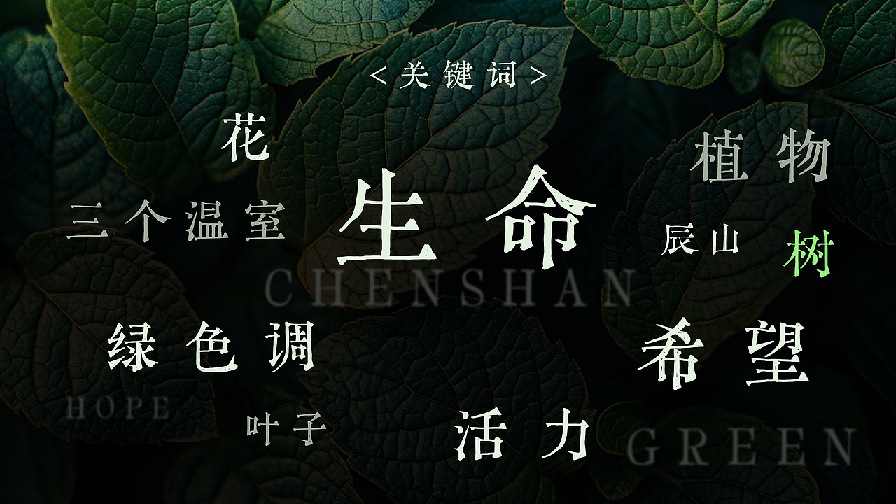 辰山植物园logo VI设计与应用提案（图ZNDA0MzA5OTg4） - 品牌 - 站酷设计师NPC有块小鱼干原创素材 - 站酷ZCOOL