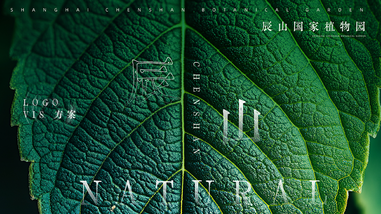 辰山植物园logo VI设计与应用提案（图ZNDA0MzA5OTgw） - 品牌 - 站酷设计师NPC有块小鱼干原创素材 - 站酷ZCOOL