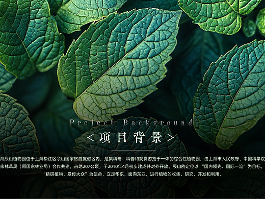 辰山植物园logo VI设计与应用提案