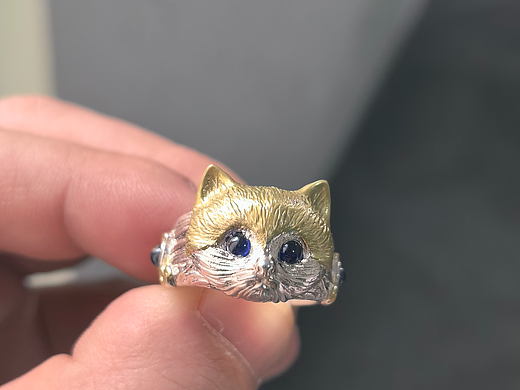 戴上这只猫，气场直接拉满