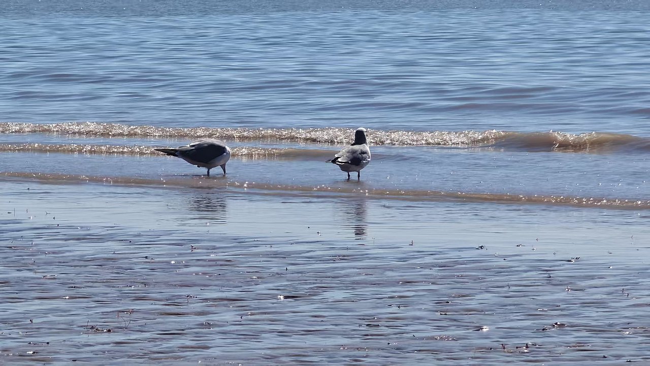 出行随拍（图ZNDA0MjkyMzA0） - 风光摄影 - 站酷设计师美好尽在眼下原创素材 - 站酷ZCOOL