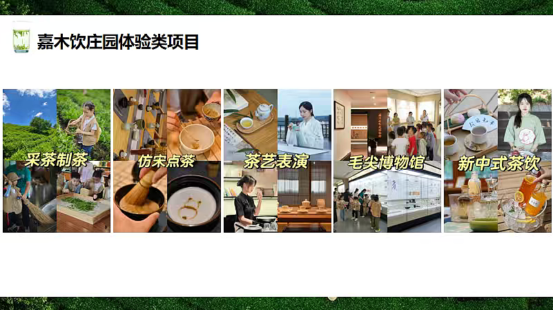 2026茶韵红心·春撷信阳银行私行春季高端圈层文化（图ZNDA0Mjk0NTg0） - 文案/策划 - 站酷设计师精英策划圈可分享原创素材 - 站酷ZCOOL