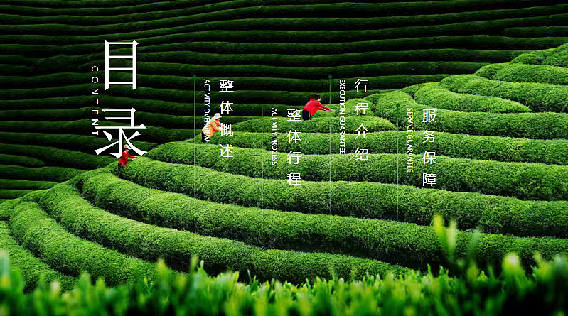 2026茶韵红心·春撷信阳银行私行春季高端圈层文化（图ZNDA0Mjk0NTY0） - 文案/策划 - 站酷设计师精英策划圈可分享原创素材 - 站酷ZCOOL