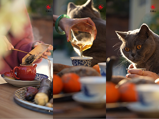 产品短片合集-竖版