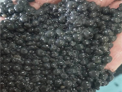 2026年3月国内口碑好的厌氧颗粒污泥生产厂家评测与推荐