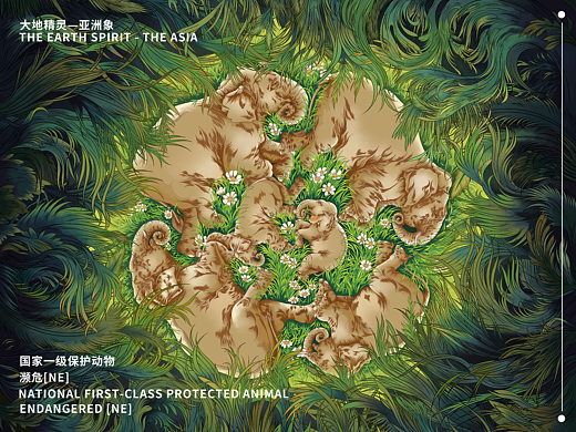 大地精灵——亚洲象