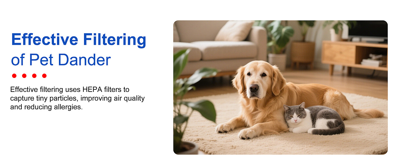 风扇过滤棉（图ZNDA0MzM0Njg0） - 产品 - 站酷设计师蒙奇Dli娜原创素材 - 站酷ZCOOL