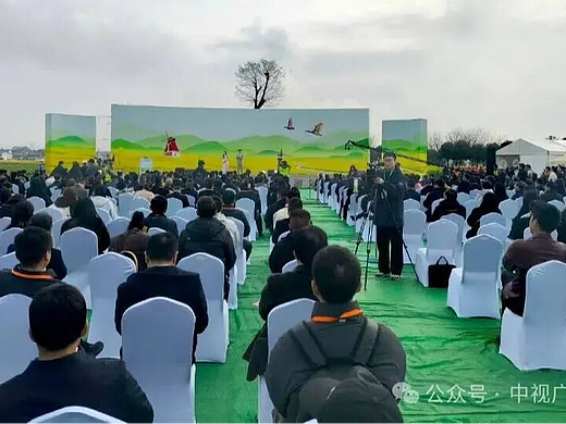 金浪涌汉中 诗画醉春风——广龙导演倾情代言汉中油菜花旅游节