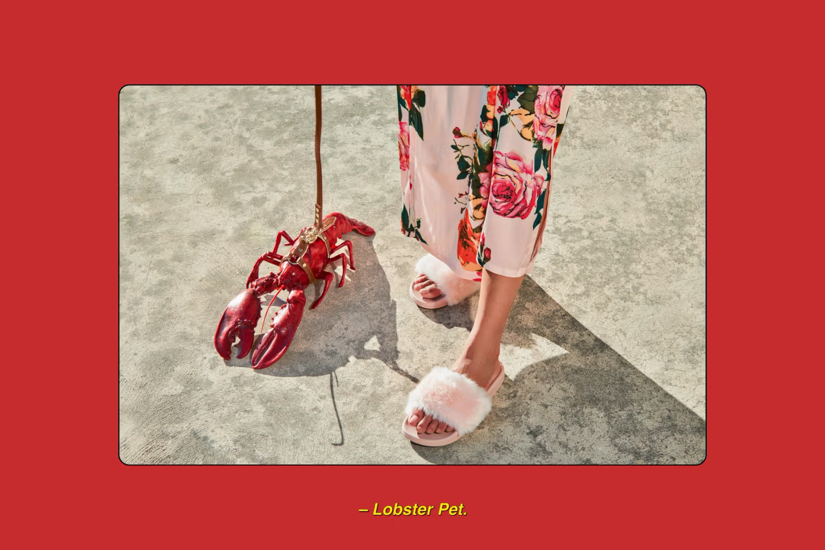 美国NewCo设计工作室作品分享 ｜365天的好设计 NO.174（图ZMTU0ODQ5ODA=） - 观点 - 站酷设计师365天的好设计原创素材 - 站酷ZCOOL