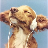是我的四月天的头像