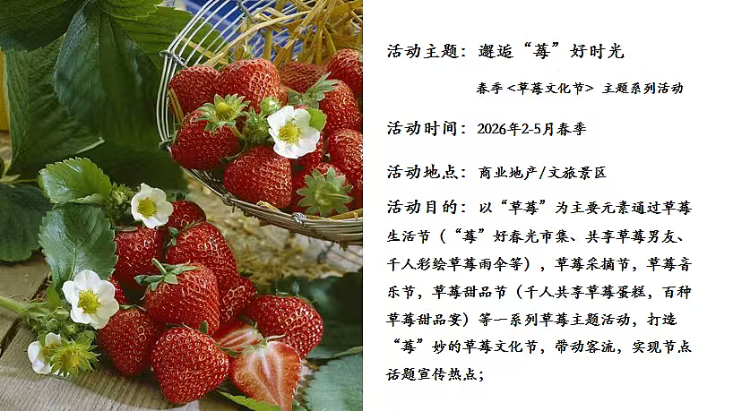 2026春季草莓文化节莓好时光市集活动方案-73P（图ZNDA0Mzc5MDY4） - 文案/策划 - 站酷设计师精英策划圈可分享原创素材 - 站酷ZCOOL