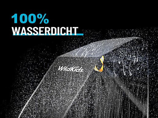 跨境美工-戶外出行-拖車車罩主圖A+設計