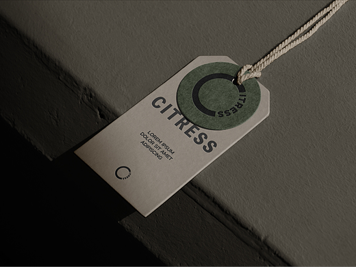 Citress服装品牌 |  品牌VI设计