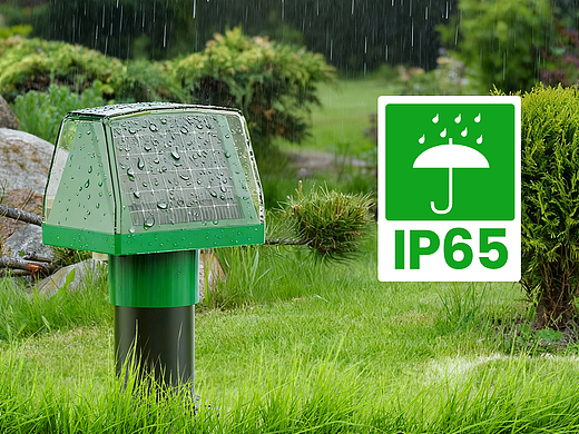 亚马逊主图副图设计｜美工接单