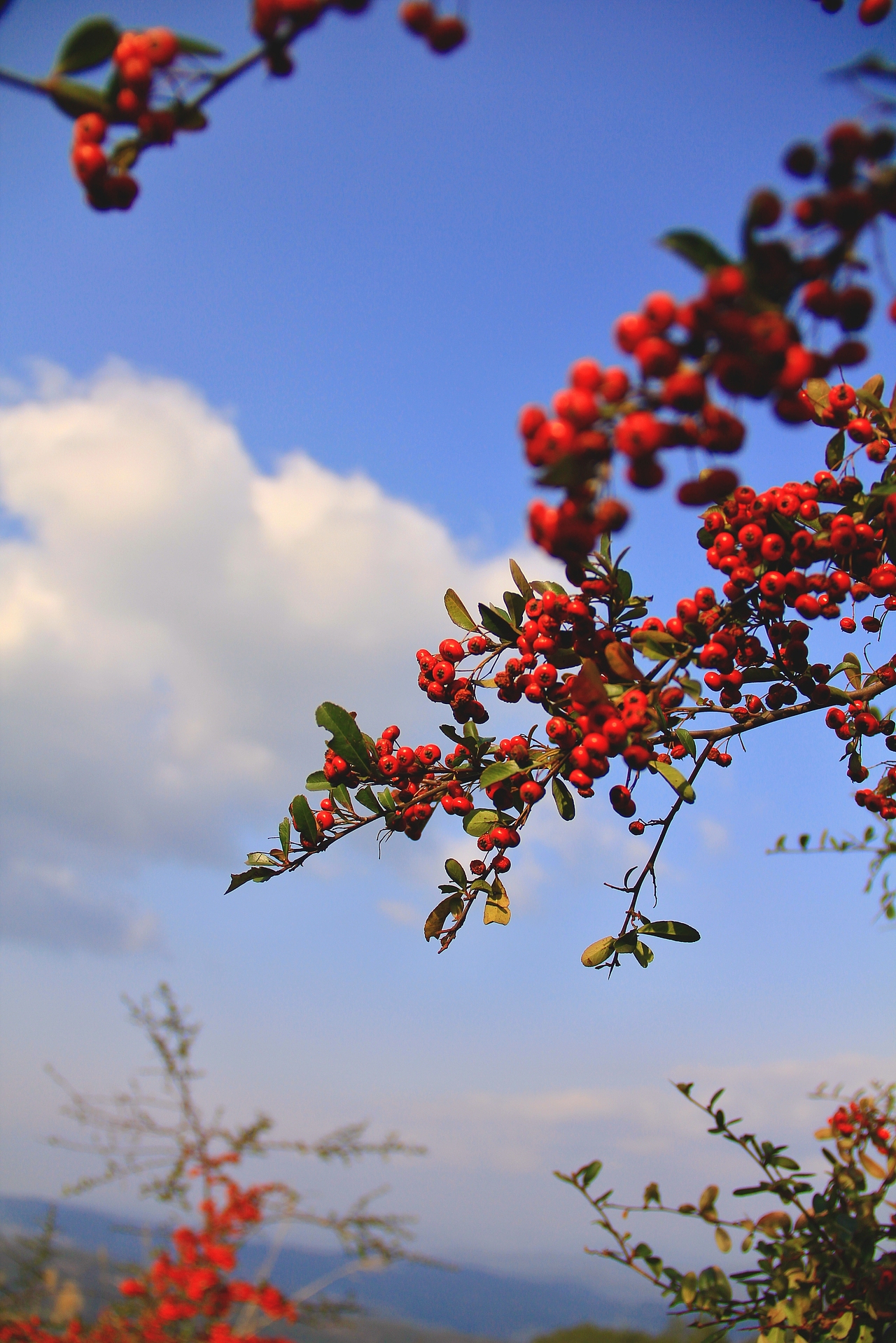 山上（图ZNDA0NDA4MDg4） - 风光摄影 - 站酷设计师ruoxu原创素材 - 站酷ZCOOL