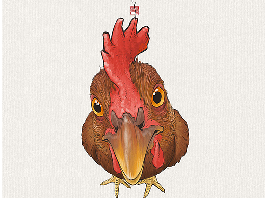 画只鸡吧