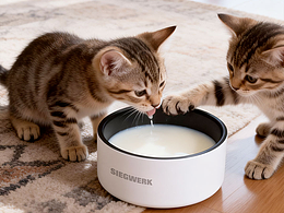 珐琅宠物碗商详广告文案策划设计静物摄影AI生图PS精修