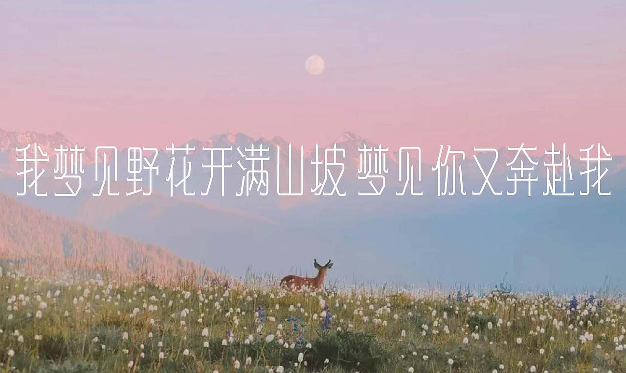 2026字体设计合集【逐浪派对】（图ZNDA0NDMxMzQ4） - 其他平面 - 站酷设计师阿离Lee原创素材 - 站酷ZCOOL
