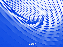 ANDRE | 企业品牌提案