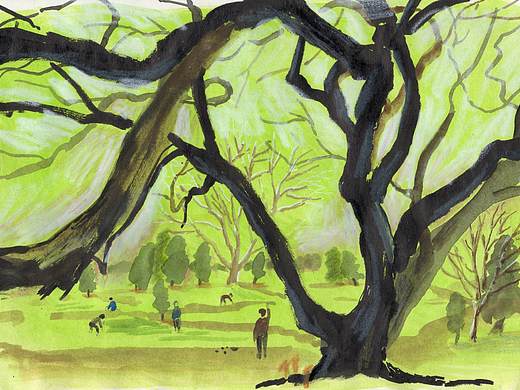 春天里去画树（个人主页-ZNzMzNDM4NTI=） - 艺术插画 - 站酷设计师是橡树Oak原创素材 - 站酷ZCOOL