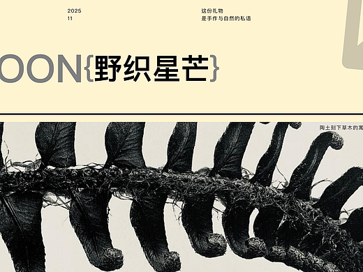 野织星芒手工品