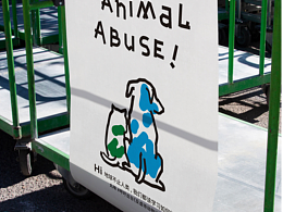 丸味宠物食品活动视觉设计