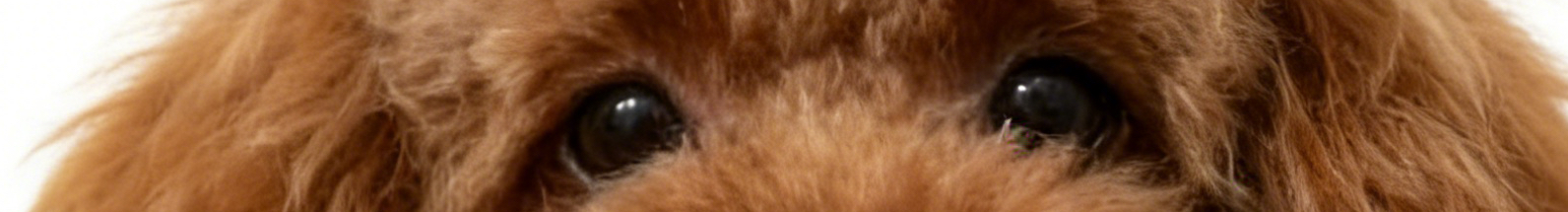 UE青春阳光的个人主页（封面预览） - 主页封面设置 - 站酷设计师UE青春阳光原创素材 - 站酷ZCOOL