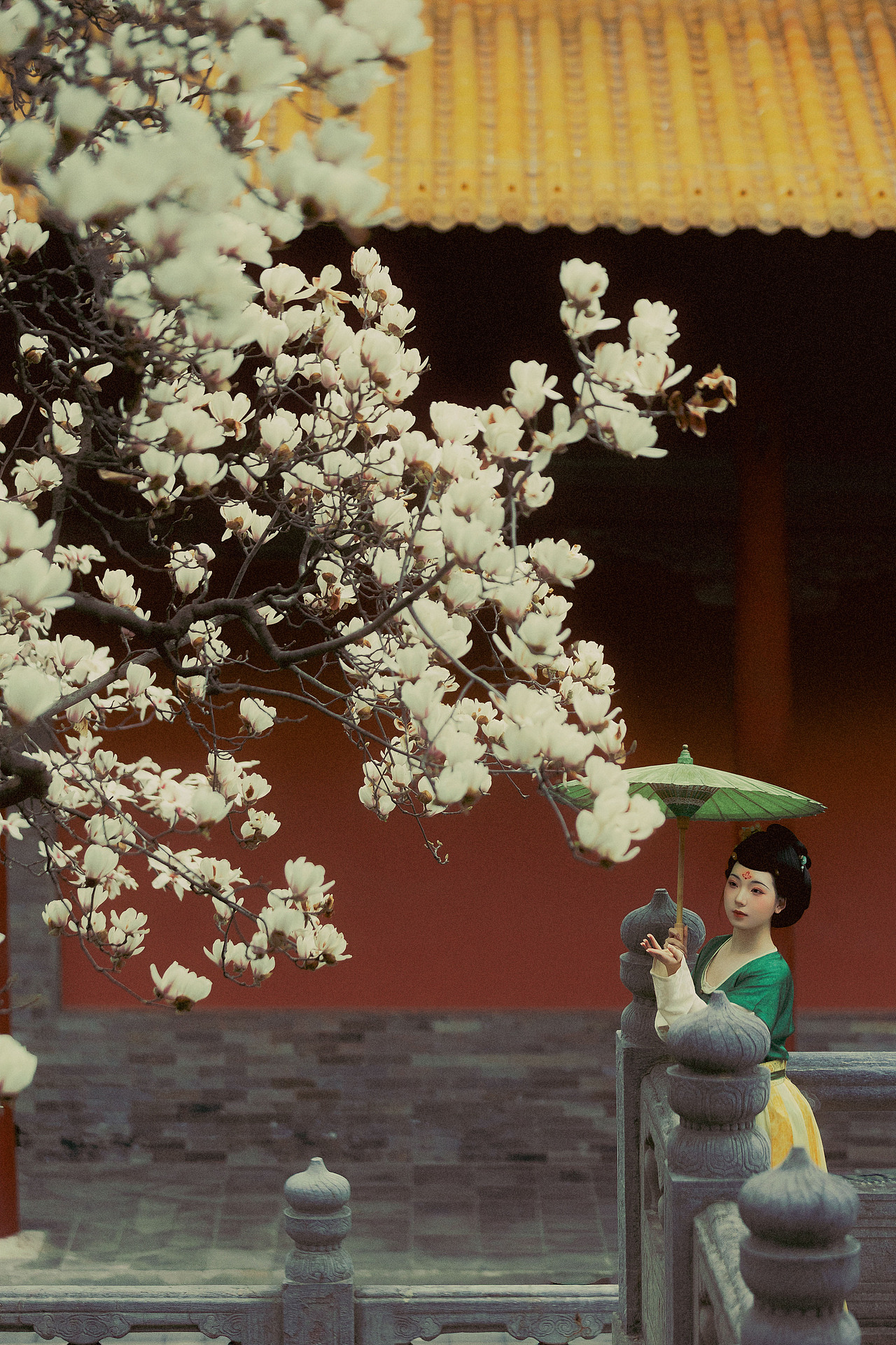 玉殿春（图ZNDA0NDc3MTI0） - 人像摄影 - 站酷设计师若寒Rock原创素材 - 站酷ZCOOL