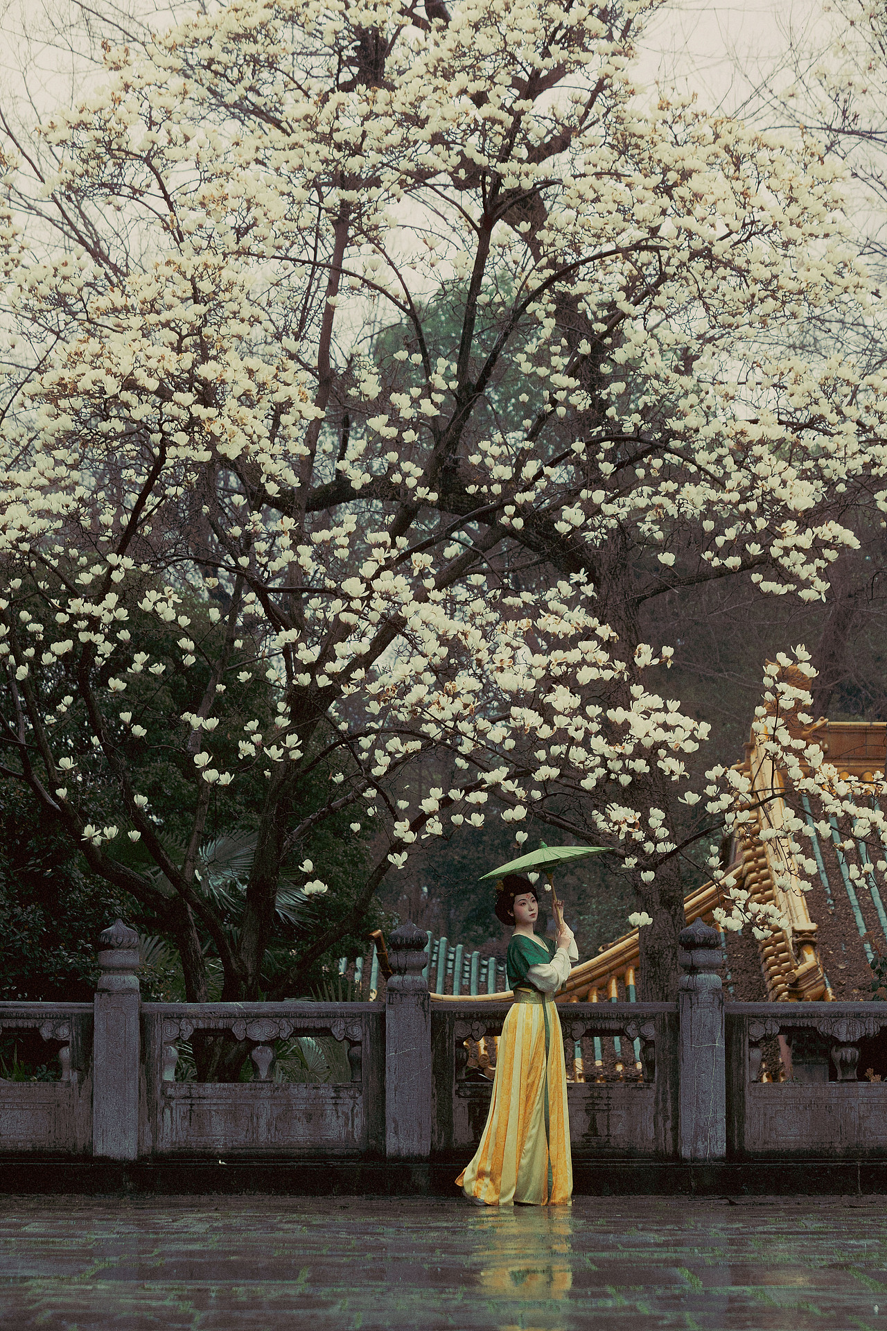 玉殿春（图ZNDA0NDc3MTg0） - 人像摄影 - 站酷设计师若寒Rock原创素材 - 站酷ZCOOL