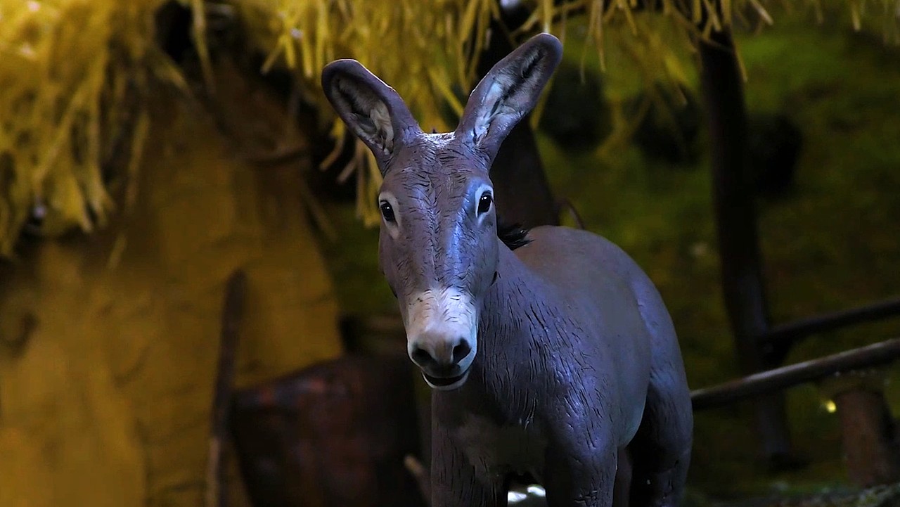 杭州故事-茶祖宗（图ZNDA0NDc3NTIw） - 动画片 - 站酷设计师李赵颖作品原创素材 - 站酷ZCOOL