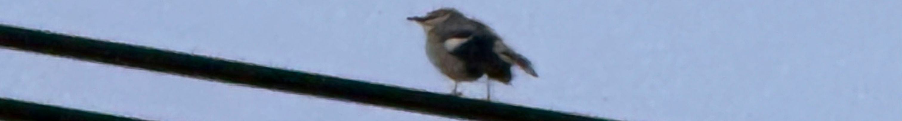 熙饭的个人主页（封面预览） - 主页封面设置 - 站酷设计师熙饭原创素材 - 站酷ZCOOL