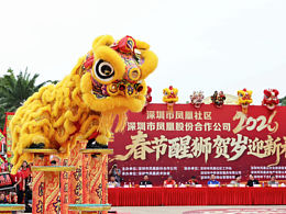 深圳活动摄影｜舞狮活动拍摄