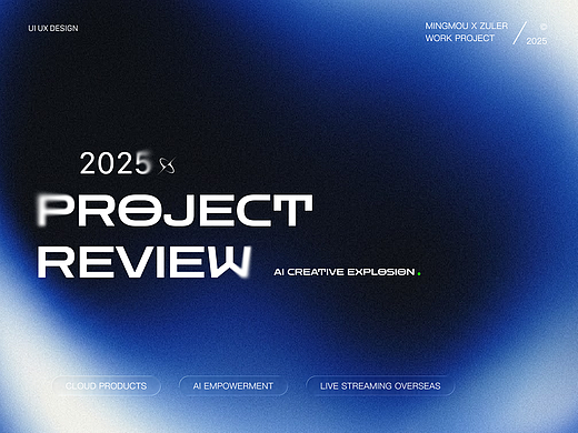 2025 | 项目总结