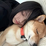 橙c不加糖的头像